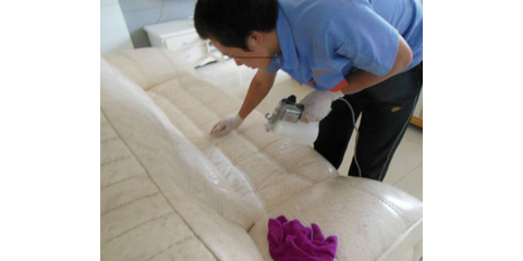 大連翼家家政服務 專業(yè)家政服務，讓生活更美好