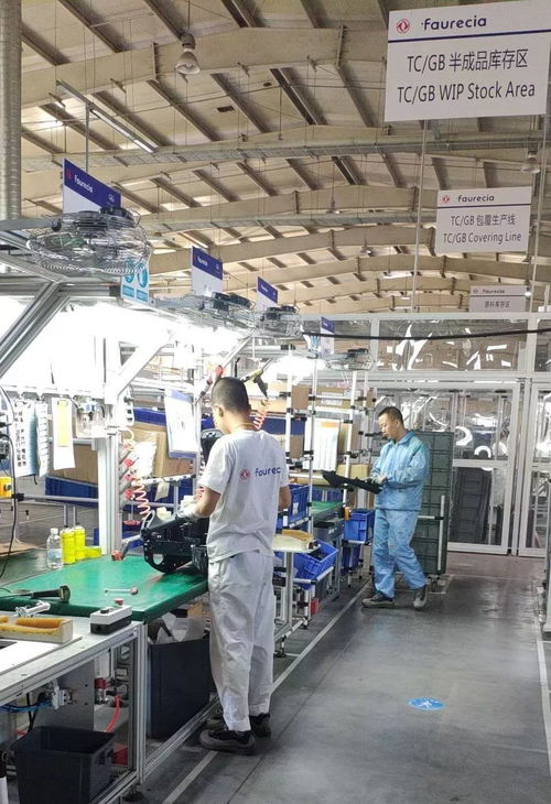 大連雙喜 智能制造樹標(biāo)桿，家政服務(wù)暖萬家